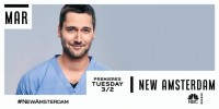 New Amsterdam Posters S.3 
